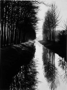 Brett Weston - Holland Canal